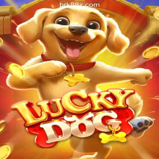 Winning Strategies for LuckyDog: Exploring the Exciting World of K88Z Cassino Online com Bônus no Brasil